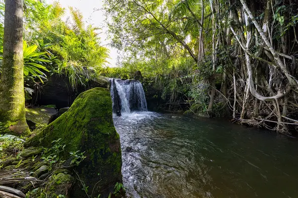 Pepeekeo, HI 96783,28-380 SUGAR MILL RD