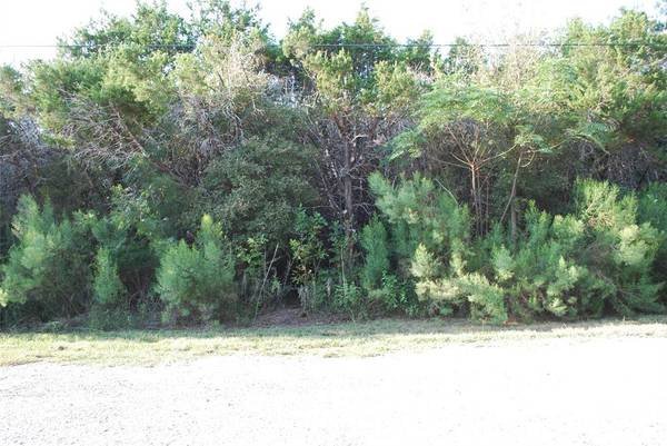 Whitney, TX 76692,30075 Woodcrest Drive