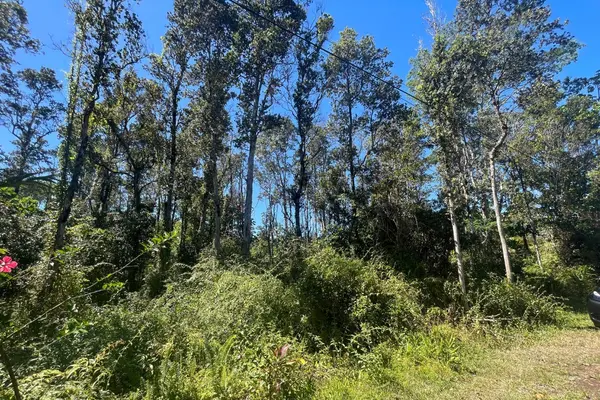 12-4336 KALAPANA ST, Pahoa, HI 96778