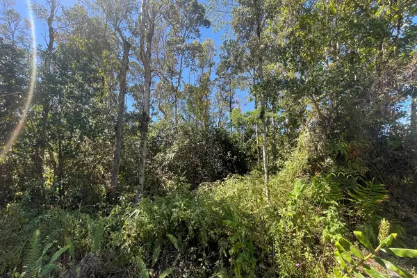 12-4336 KALAPANA ST, Pahoa, HI 96778