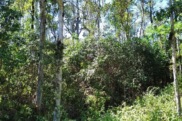 12-4336 KALAPANA ST, Pahoa, HI 96778