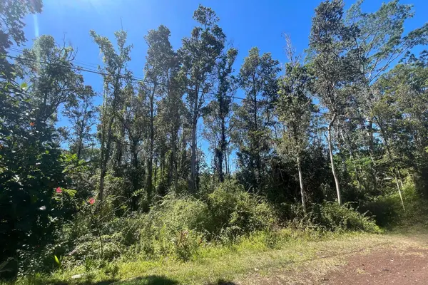 12-4336 KALAPANA ST, Pahoa, HI 96778