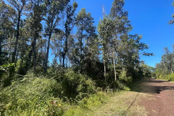 12-4336 KALAPANA ST, Pahoa, HI 96778