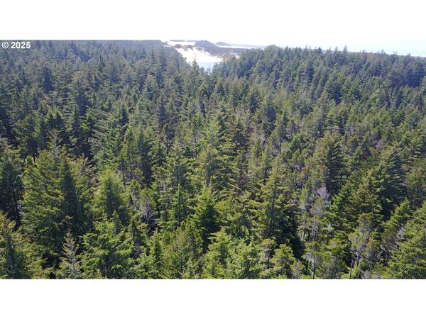 Florence, OR 97439,ALDER DR TL 03300 DR