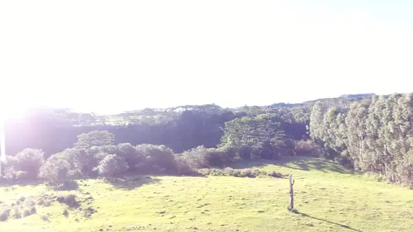 KAIWIKI HOMESTEAD RD, Hakalau, HI 96710