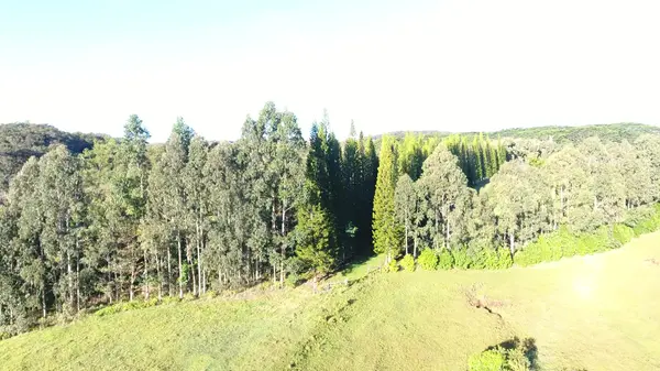 KAIWIKI HOMESTEAD RD, Hakalau, HI 96710