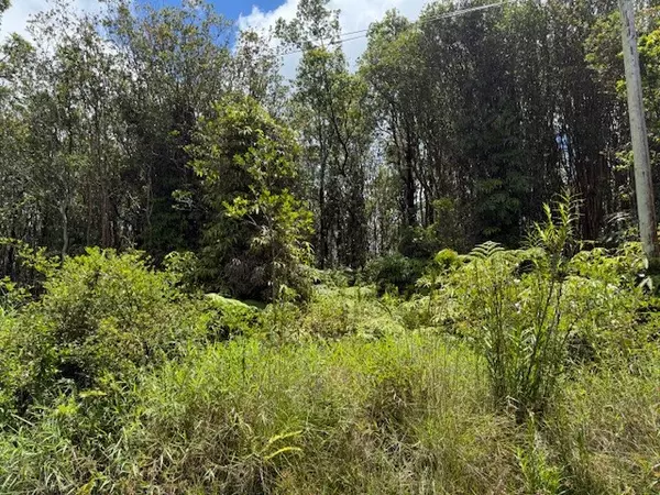 Volcano, HI 96785,18-2285 KAKAHIAKA UHANE ST