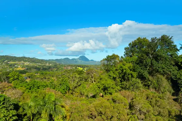 Kalaheo, HI 96741,4314 MAKA RD