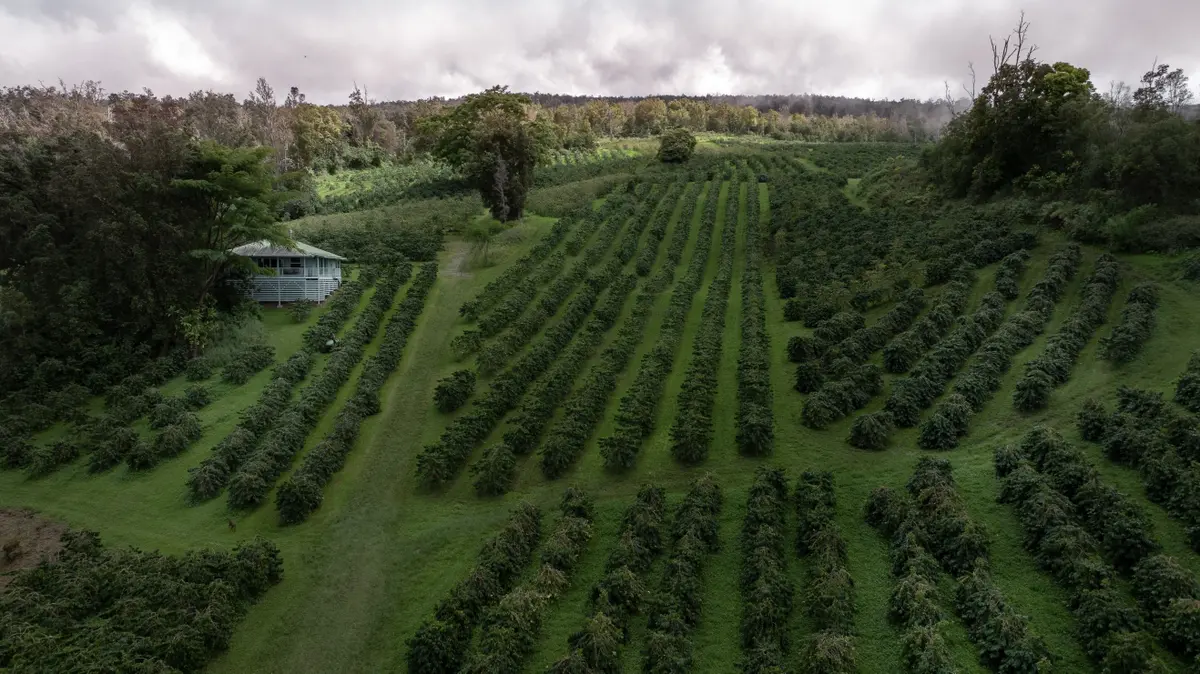 87-2854 HAWAII BELT RD, Captain Cook, HI 96704