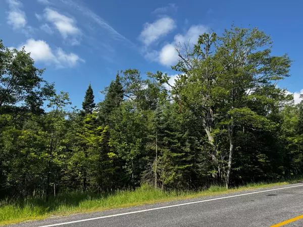 Carling, ON P0G 1G0,126 Highway 559 N/A