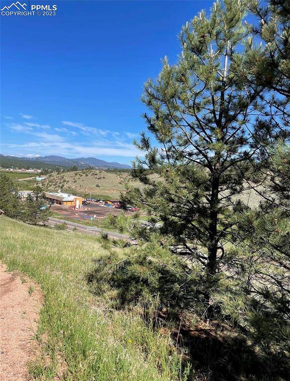 125 & 137 Hillside DR, Florissant, CO 80816