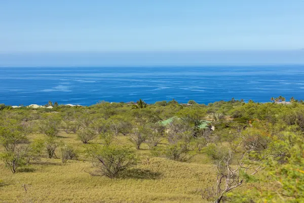 Kamuela, HI 96743,PUEO PL