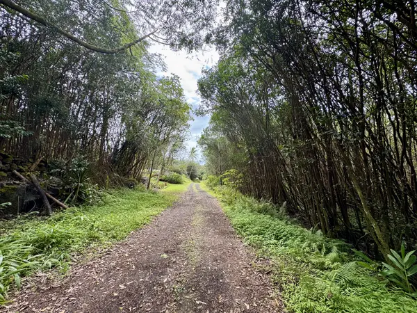 MOLOKAI ST, Pahoa, HI 96778