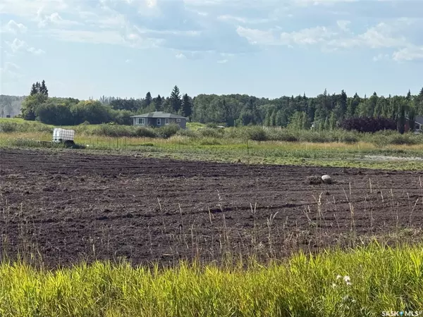 Paddockwood Rm No. 520, SK S0J 0N0,121 Kingfisher WAY