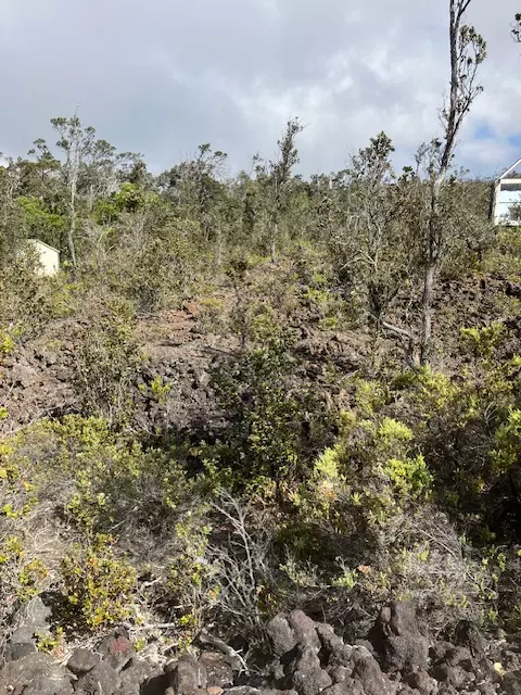 Ocean View, HI 96737,ANUENUE DR