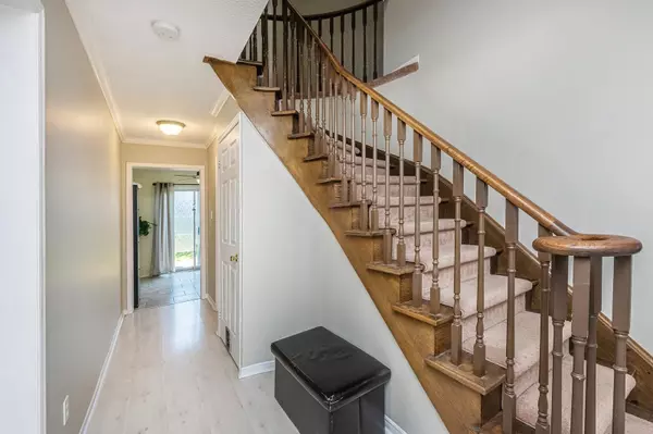 Barrie, ON L4N 7B8,155 Patterson RD