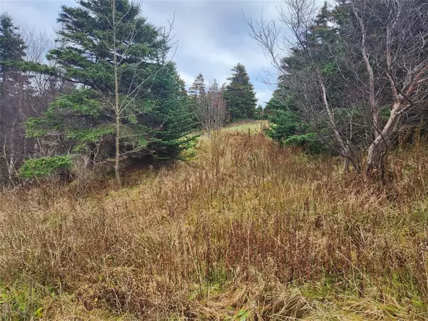 Logy Bay-middle Cove-outer Cove, NL A1K2A3,779-813 Marine Drive