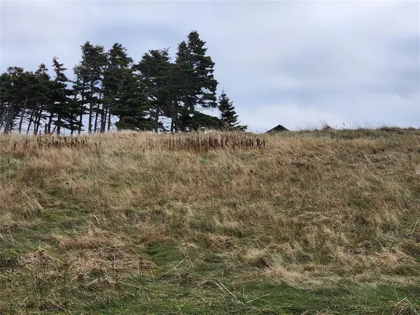 Logy Bay-middle Cove-outer Cove, NL A1K2A3,779-813 Marine Drive