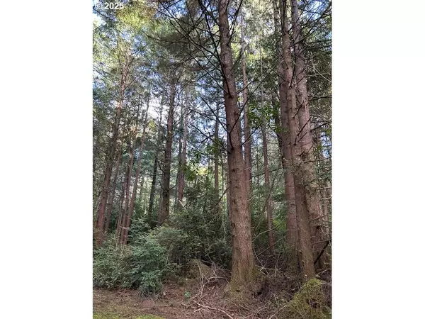 Waldport, OR 97394,SW Flansberg AVE