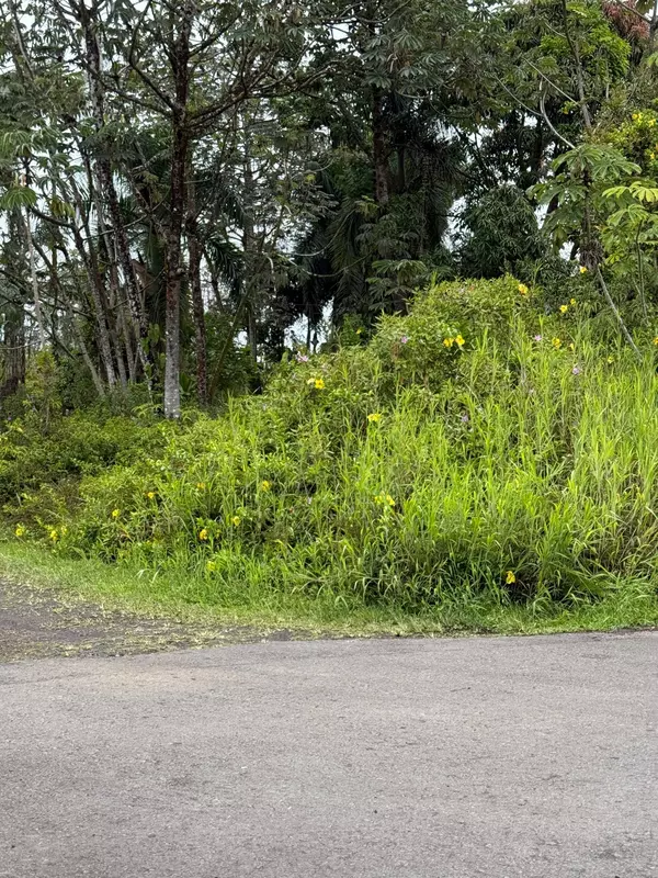 Kurtistown, HI 96760,UILANI DR