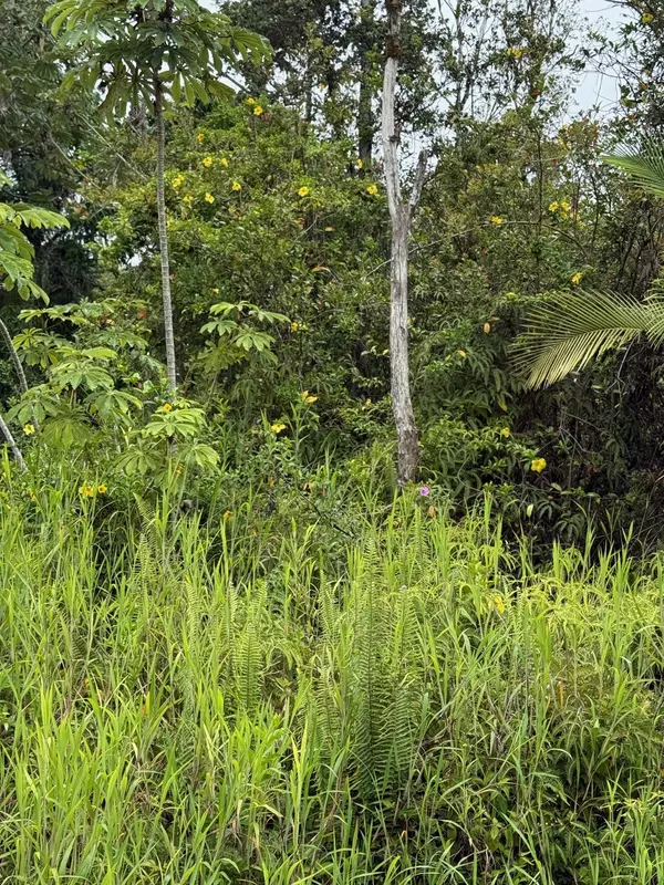 Kurtistown, HI 96760,UILANI DR