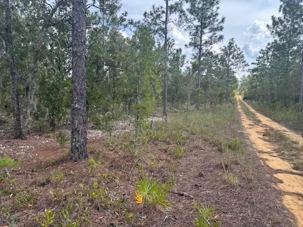 Interlachen, FL 32148,0 Gray St