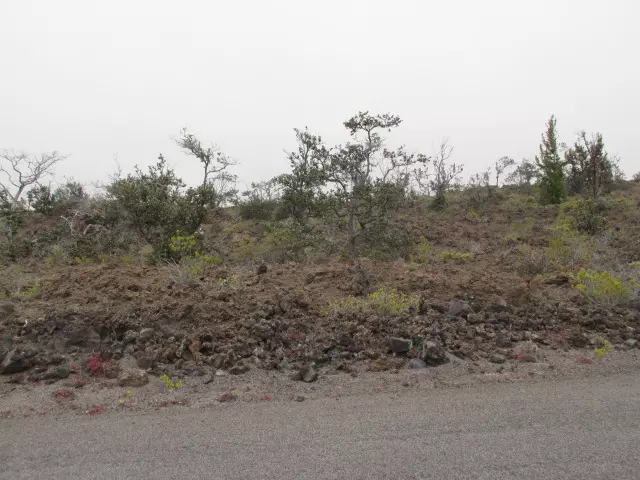 Ocean View, HI 96737,SEA VIEW DR