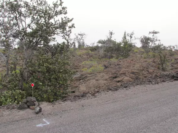 Ocean View, HI 96737,SEA VIEW DR