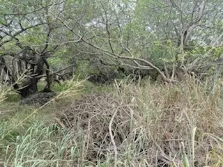 Naalehu, HI 96772,MARK TWAIN ST