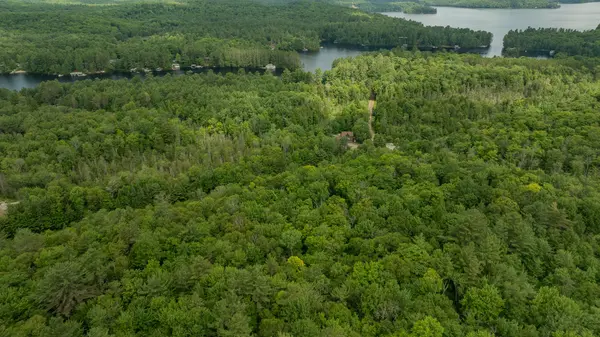 Lake Of Bays, ON P0B 1A0,2750 Muskoka 117 RD