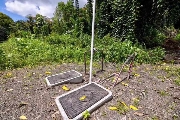 Hilo, HI 96720,114 HALE MANU DR