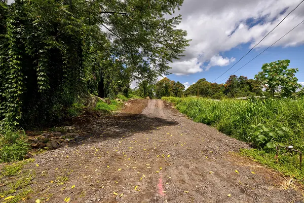 Hilo, HI 96720,108 HALE MANU DR