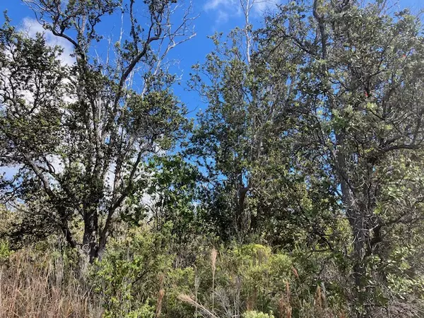 Ocean View, HI 96737,PALM PKWY