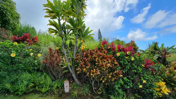 Kealakekua, HI 96750,81-6632 ALALANI ST