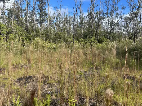 Volcano, HI 96785,OHIALANI RD