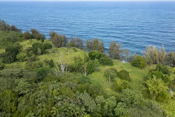 28-110 KULAIMANO HOMESTEAD ROAD, Pepeekeo, HI 96783