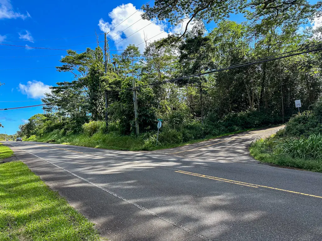 ALAILI RD, Pahoa, HI 96778