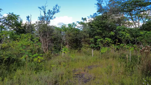 Kurtistown, HI 96760,ROAD 11 (PULELEHUA)