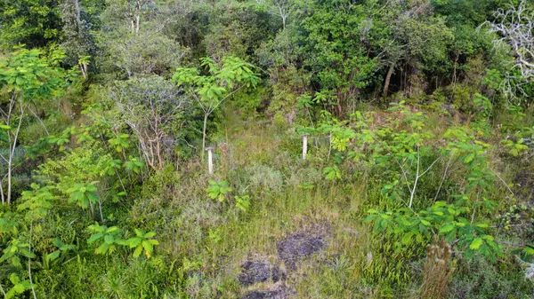 Kurtistown, HI 96760,ROAD 11 (PULELEHUA)