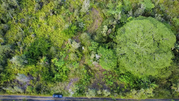 Kurtistown, HI 96760,ROAD 11 (PULELEHUA)