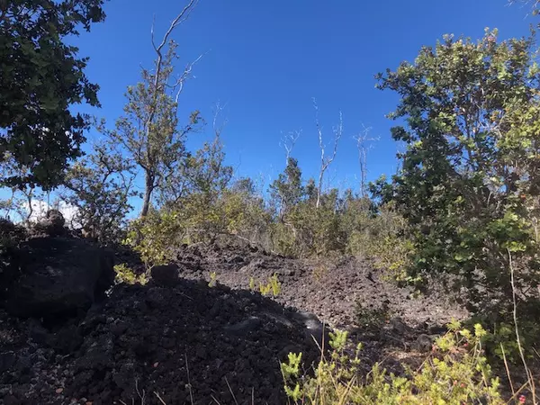 Ocean View, HI 96737,OHIA DR