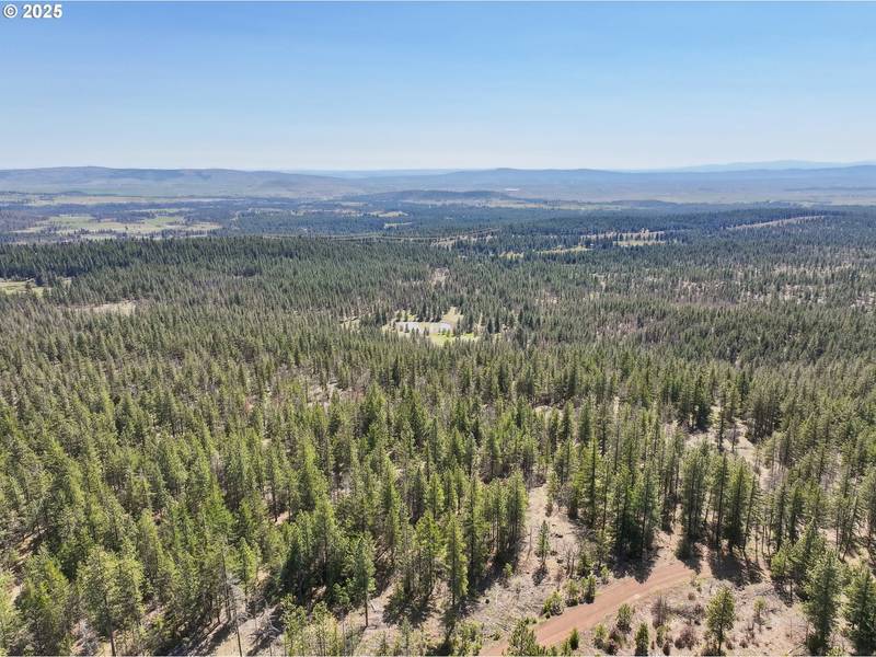 NKA Tyler RD, Goldendale, WA 98620