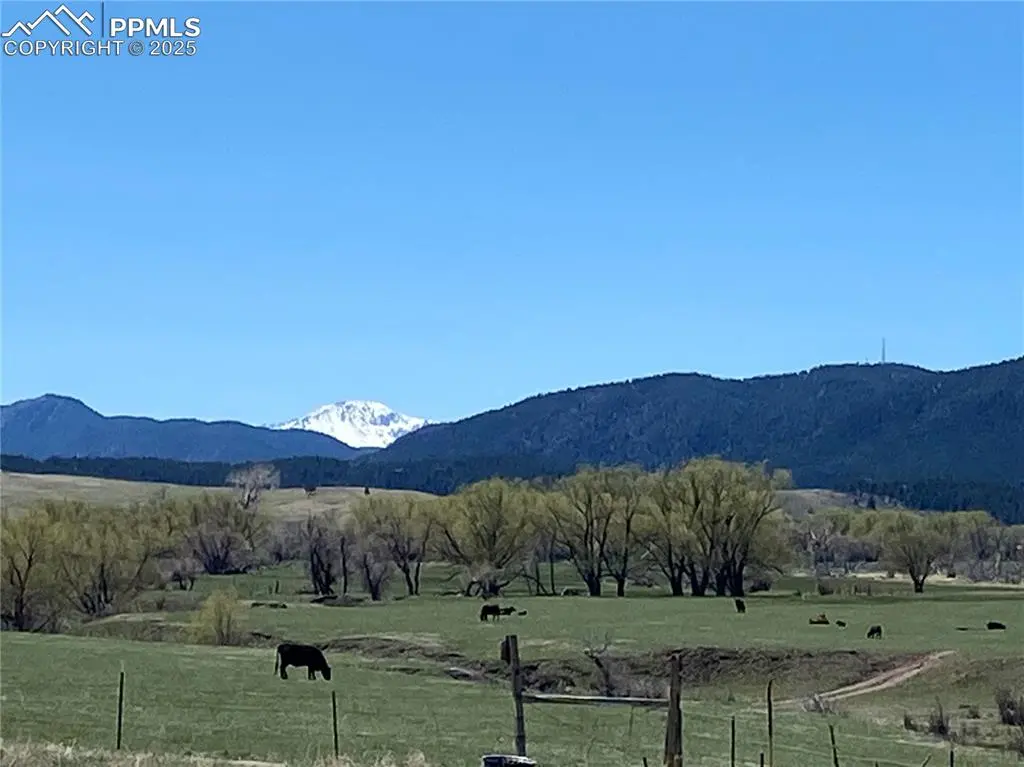 Larkspur, CO 80118,11001 Spruce Mountain RD
