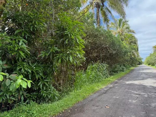 Pahoa, HI 96778,12-4293 OCEAN VIEW PKWY