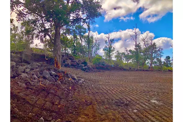 Ocean View, HI 96737,92-9018 TIKI LN