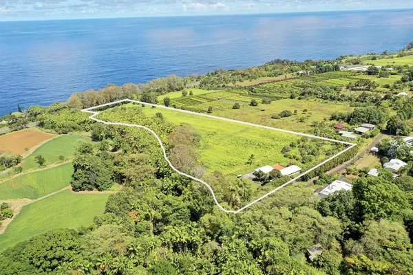 Ninole, HI 96773,31-480 OLD MAMALAHOA HIGHWAY