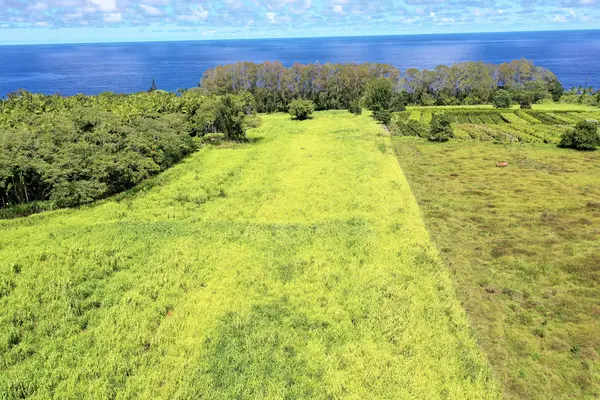 Ninole, HI 96773,31-480 OLD MAMALAHOA HIGHWAY