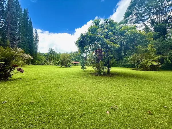 Pahoa, HI 96778,15-3011 MAKO WAY