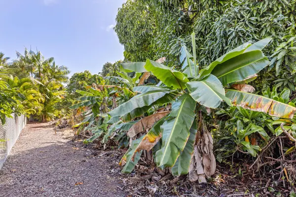 PAPAI ST, Pahoa, HI 96778