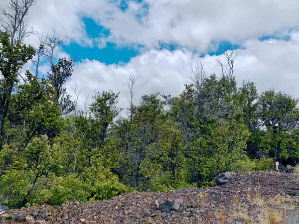 Ocean View, HI 96737,92-8429 KOA LN